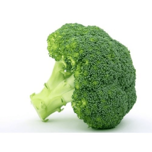 Brocoli Pièce BIO France
