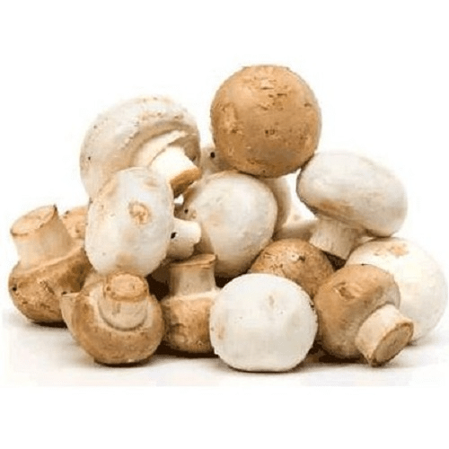 Champignons Blanc BIO France 200g