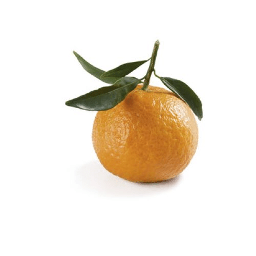Clémentines BIO Espagne 1kg