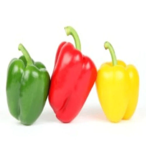 Poivrons Mixtes BIO Espagne 500g