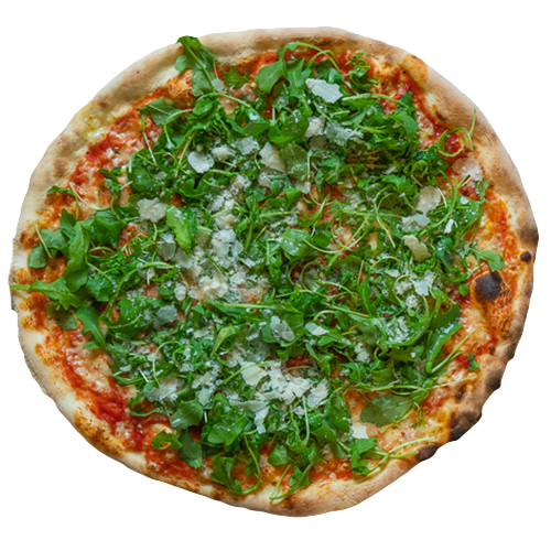 Rucola
