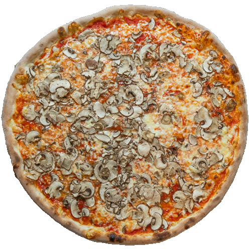 Funghi freschi