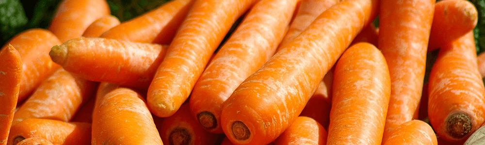Sanatos si vegetarian