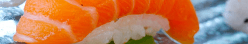 Sushi nigiri