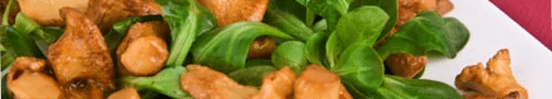 Plats végétariens