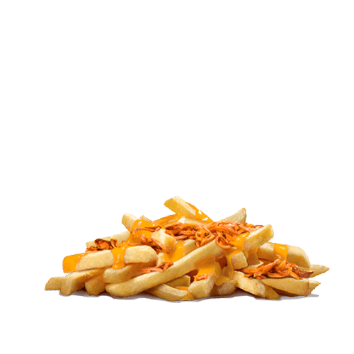 Onion Cheese Fries