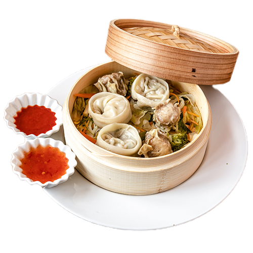 Chicken dumplings