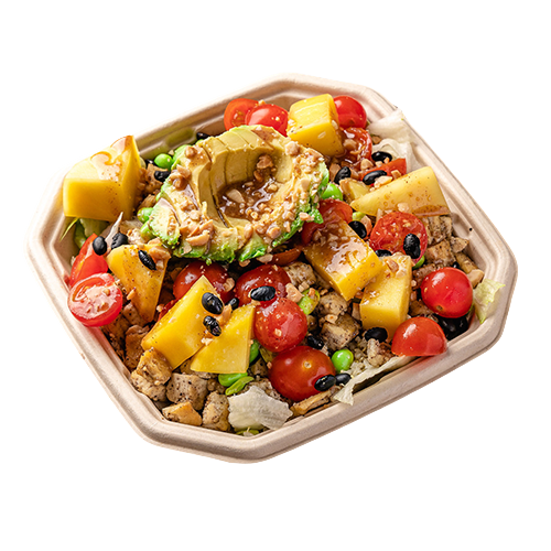 Vegan Healthy Wave