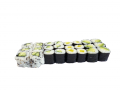 Platter 10