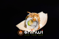 Crunch surimi avocado