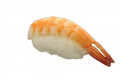 Shrimp