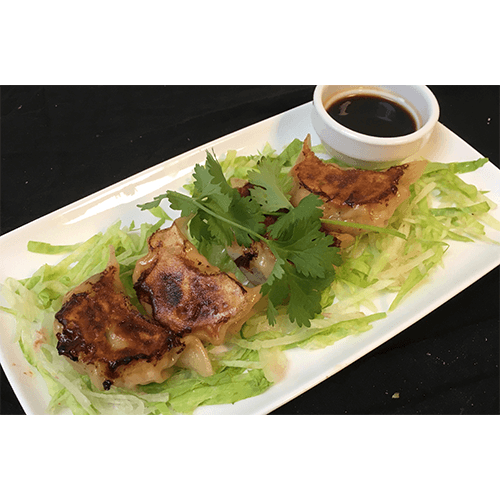 Kippen gyoza