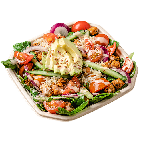 Vegan Avocado Spring