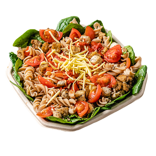 Vegan Fitalian