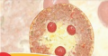 Petite pizza au haché, fromage