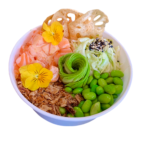 Poké bowl Aloha