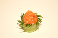 Tulipe saumon