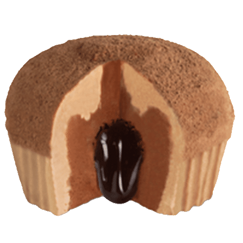 Tartuffo au chocolat