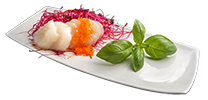 Coquille Saint-Jacques