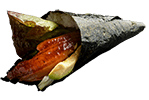 Anguille, concombre, avocat, laitue