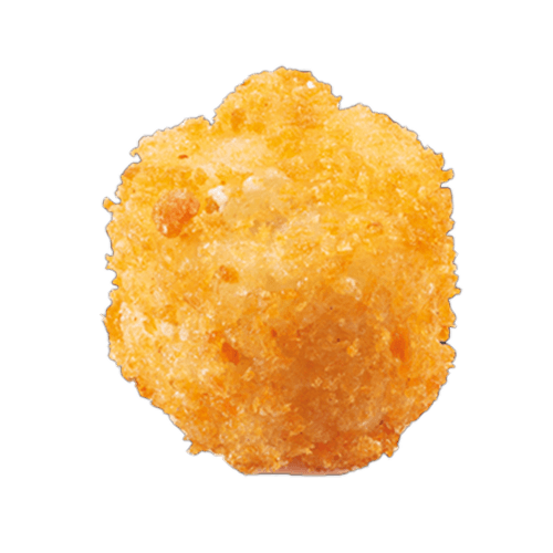 Crispy rolls cheese
