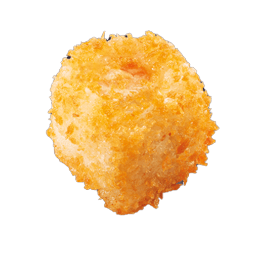 Crispy rolls saumon