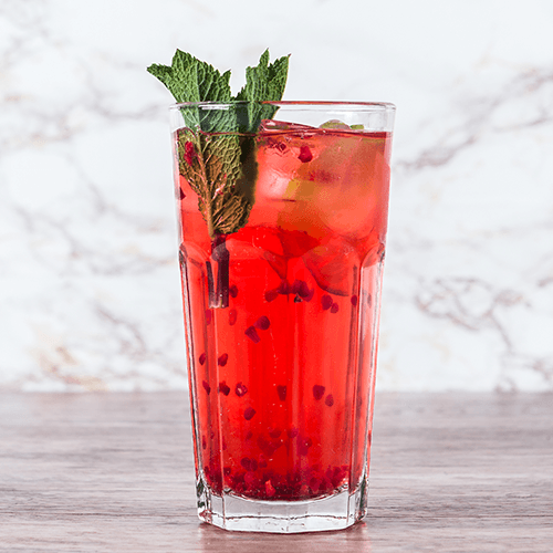 Hibiscus Raspberry