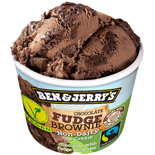 Ben & Jerry's Chocolate Fudge Brownie (100 ml)