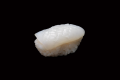 Sushi ika