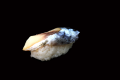 Saba/mackerel