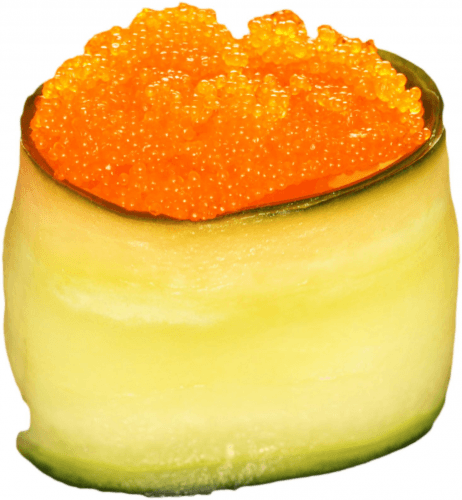 Tulip masago