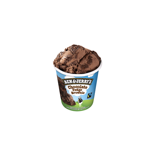 Ben & Jerry's Chocolate Fudge Brownie 100ml