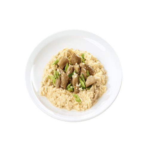 Steinpilzrisotto (FROZEN)