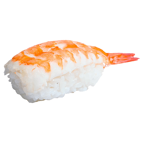 Ebi Nigiri (1 Stück)
