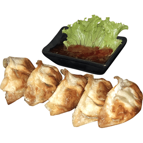 Gyoza légumes (5 pièces)