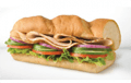 Turkey Sub