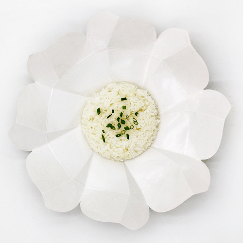Riz Blanc