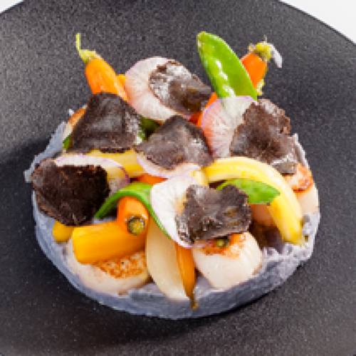 Royale de Noix de Saint Jacques Poêlées et sa Purée de Vitelotte aux Truffes
