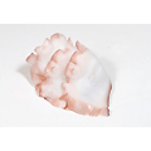 Sashimi Tako Poulpe