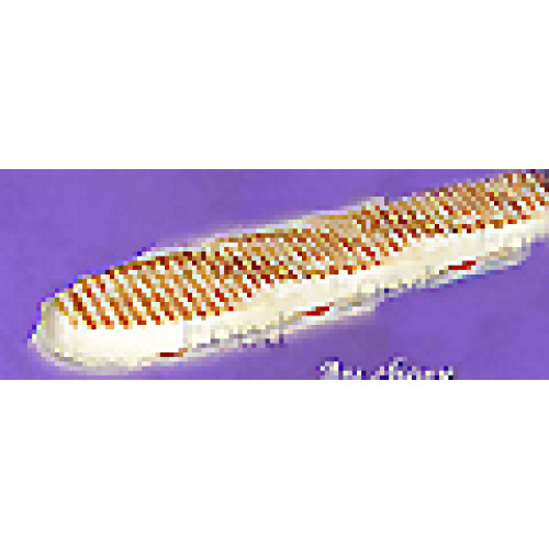 Panini jambon de dinde