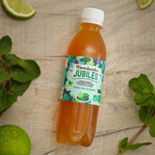 Kombucha Thé Noir Citron Vert Menthe BIO 25 cl