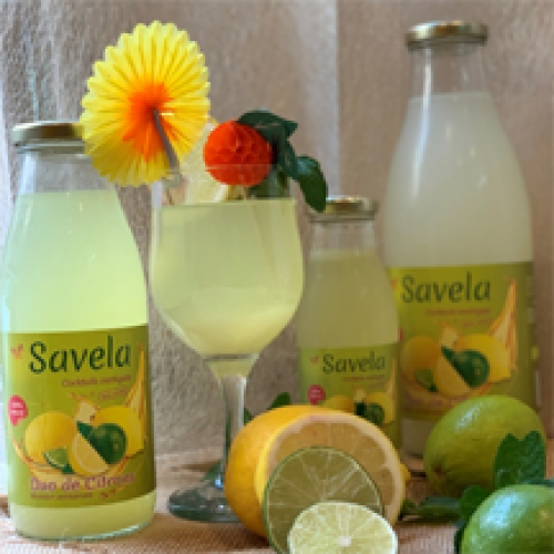 Boisson Duo de Citrons 1 L