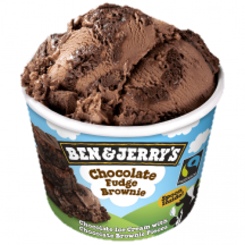 Ben & Jerry's Fudge Brownie 100 ml