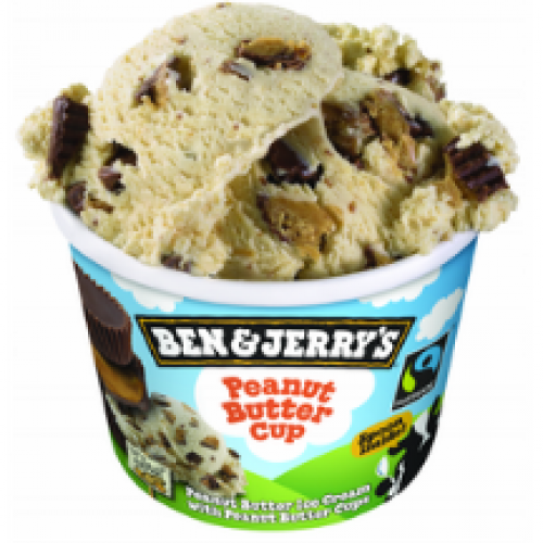 Ben & Jerry's Peanut Butter Cup 100 ml
