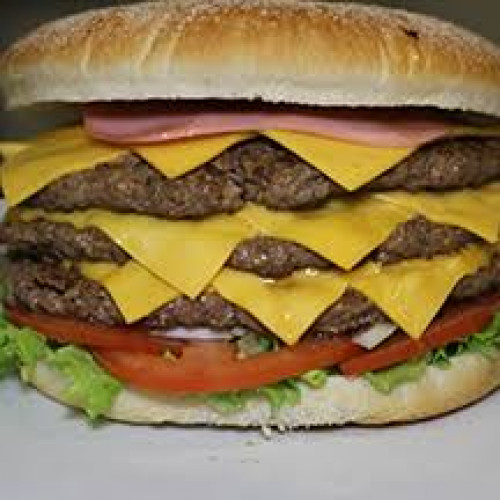 Buffalo Burger