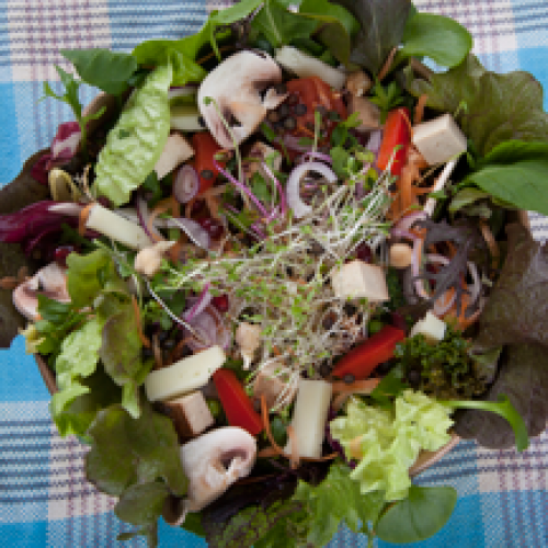 Grande Salade Gourmande de Saison