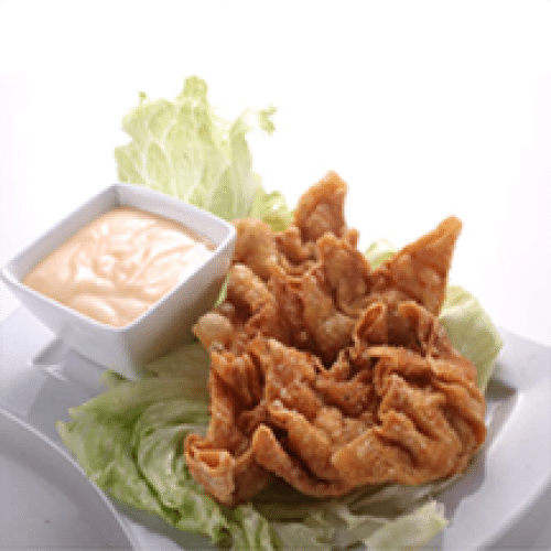 67 - Ravioli Frit x5
