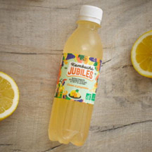 Kombucha Thé Vert Citron Gingembre BIO 25 cl