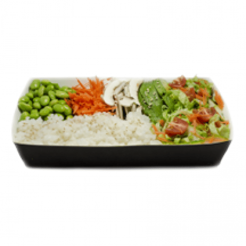 World Bento veggi