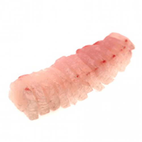 Sashimi Daurade x10